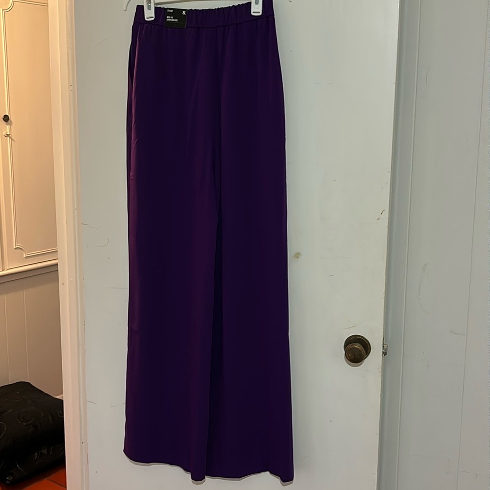 Purple express pants size 8L